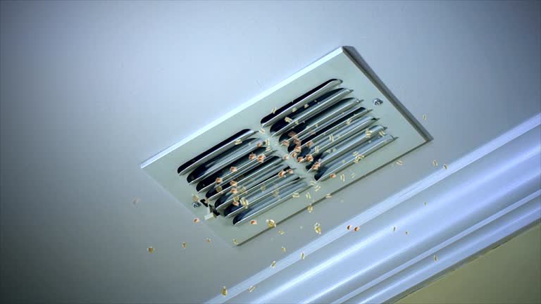 Best Commercial HVAC Duct Cleaning  in Tazewell, TN