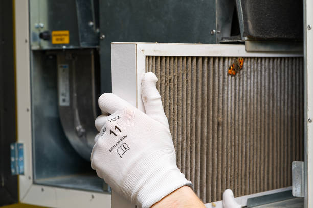 Best Commercial HVAC Duct Cleaning  in Tazewell, TN
