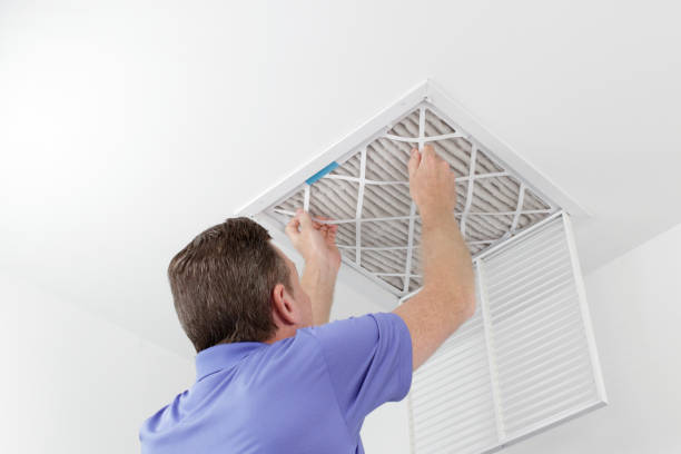 Best Air Duct Cleaning Near Me  in Tazewell, TN